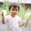 こども食堂に、ことのは野菜を届けたい！ - 画像 (3)