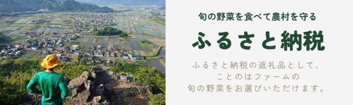ふるさと納税