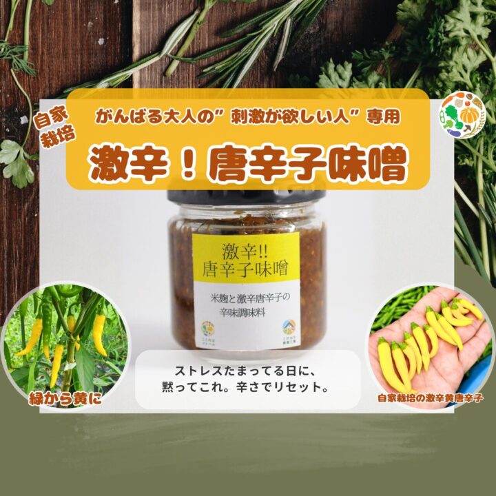 激辛‼️ 唐辛子味噌(送料別)