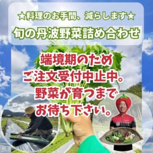 【都度注文】旬の丹波野菜詰め合わせ(送料込み)
