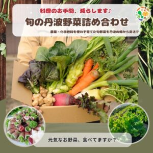 【都度注文】旬の丹波野菜詰め合わせ(送料無料)