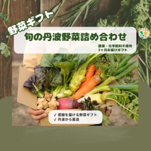 旬の丹波野菜詰め合わせ(3ヶ月お届けギフト)